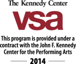 VSA logo 14